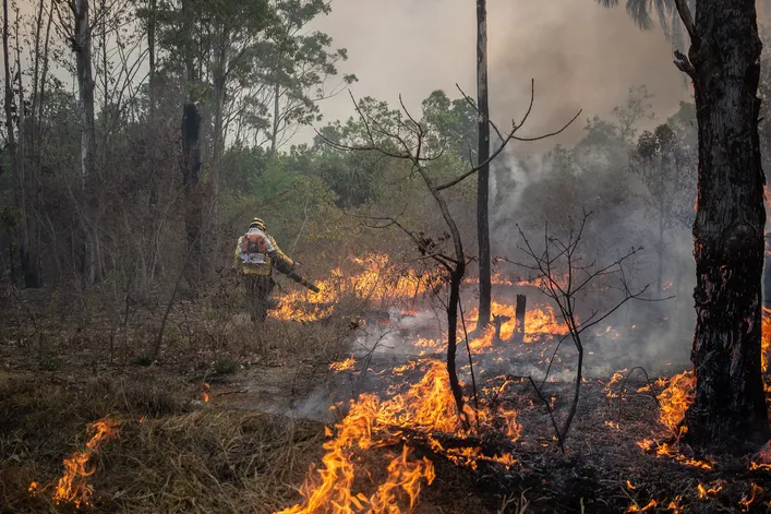 Wildfire Portugal
