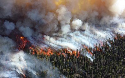 Wildfire in Yellowstone