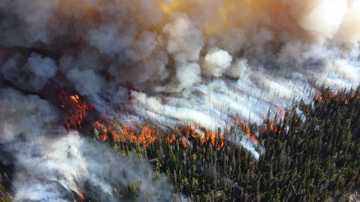 Wildfire in Yellowstone
