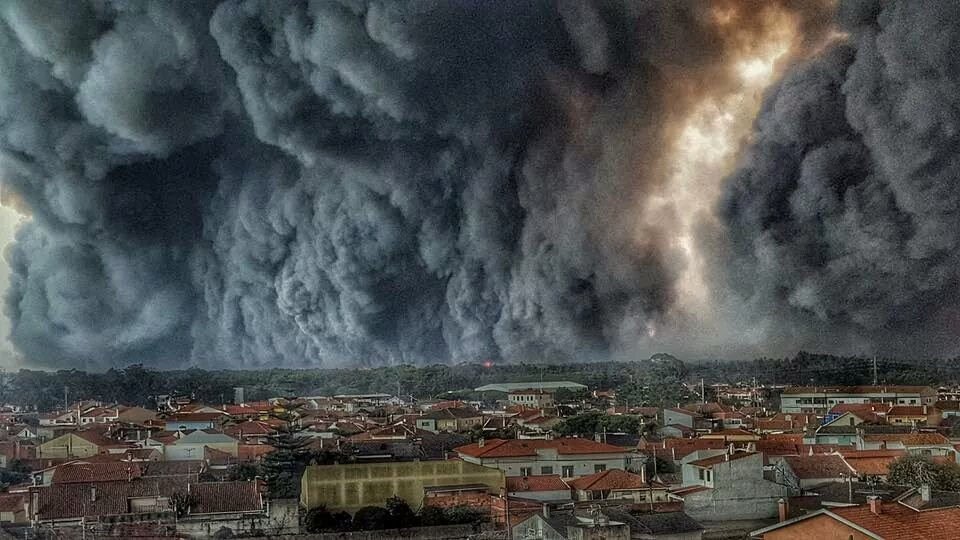 Wildfires in Portugal: is past trend of forest cover increase now ‘going up in smoke’?