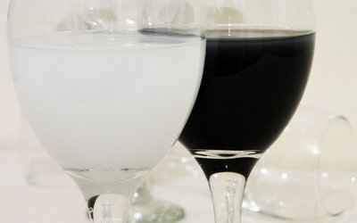 Projections for wine production in the Douro Valley