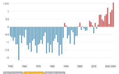 Global temperature increase