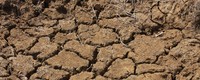 Drought length, intensity and timing in Southern France