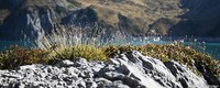 Extinction debt of high-mountain plants