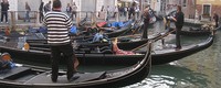 The future of Venice