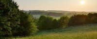 Climate change impact on Luxemburg vegetation