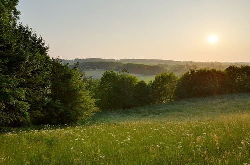 Climate change impact on Luxemburg vegetation