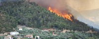 Managing forests and fire in changing climates