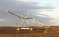 Irrigation water demand under climate change