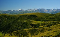 Alpine and subalpine vegetation habitat reduction in the Pyrenees