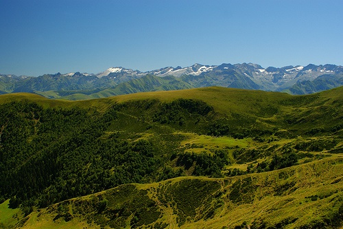 Alpine and subalpine vegetation habitat reduction in the Pyrenees
