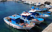 Climate effect on Mediterranean fisheries