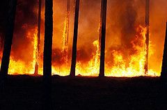 Climate change effects on rural fires in Portugal