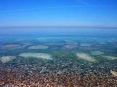 Effects of climate change in the northern Adriatic Sea