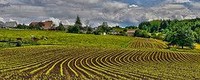 Adaptation potential of European agriculture in response to climate change