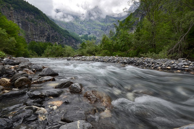 Trends in the hydrologic regime of Alpine rivers