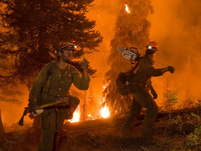 Forest fires and adaptation options in Europe