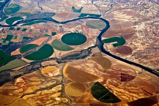 How can irrigated agriculture adapt to climate change? 