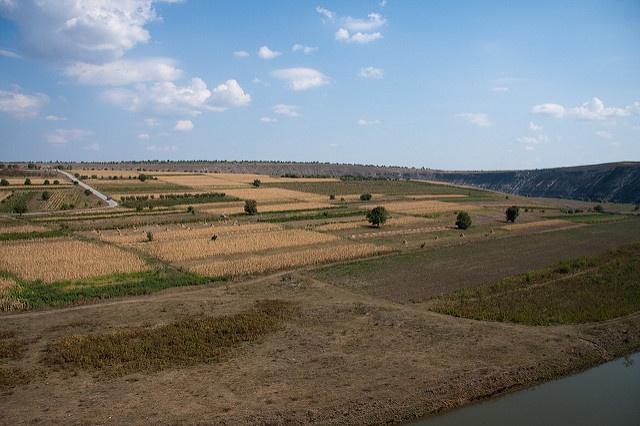 Droughts increasingly affect main crop yields in the Republic of Moldova 