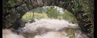 Norwegian floods are changing: more rain, less snowmelt