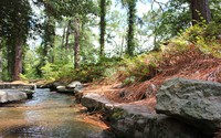 Forest management can mitigate climate change effects on streamflow
