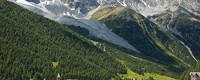 Organic matter losses in German Alps forest soils since the 1970s most likely caused by warming