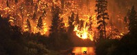 Wildfires and climate change, a connection that’s hard to deny
