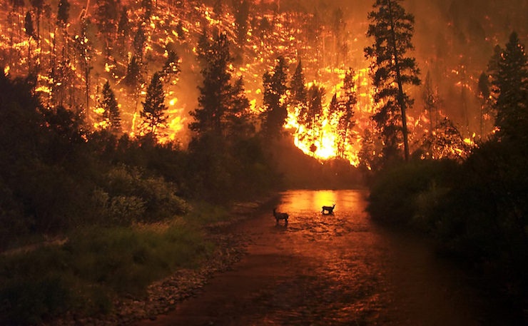 Wildfires and climate change, a connection that’s hard to deny