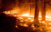 Changing drought conditions are linked to extreme wildfire events in the northern Mediterranean