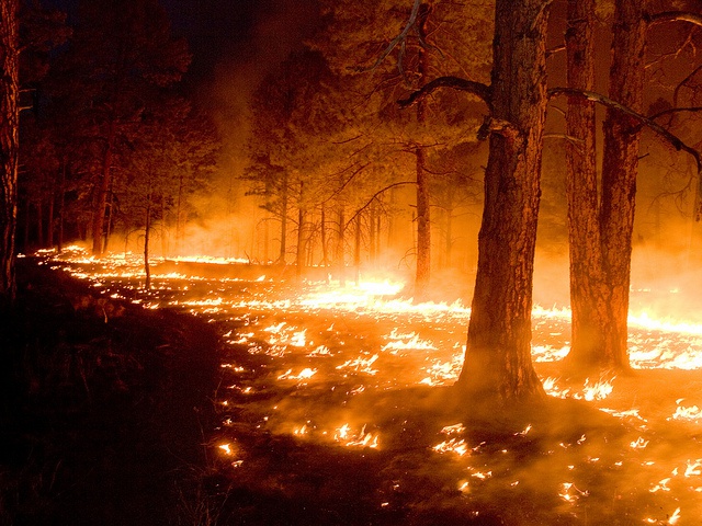 Changing drought conditions are linked to extreme wildfire events in the northern Mediterranean