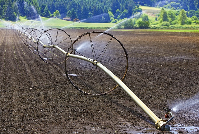 Sustainable water consumption for irrigation can feed an additional 2.8 billion people