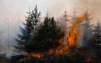 A new generation of wildfires characterized by extreme behavior