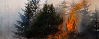 A new generation of wildfires characterized by extreme behavior