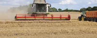 Without global warming, current crop yields would have been higher
