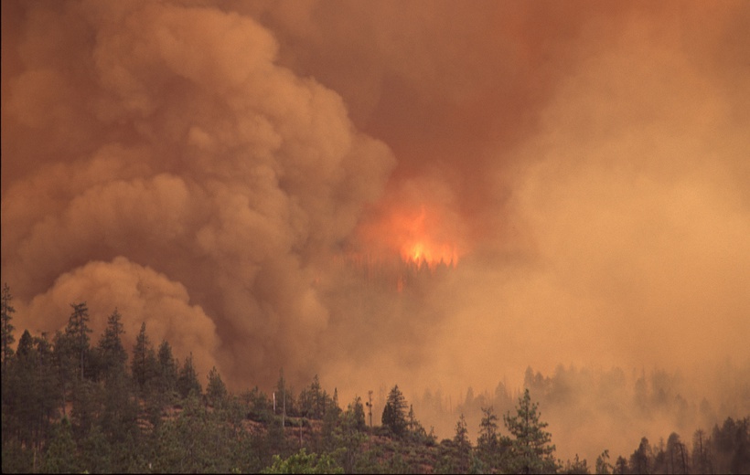 When will wildfires show the fingerprint of global warming?