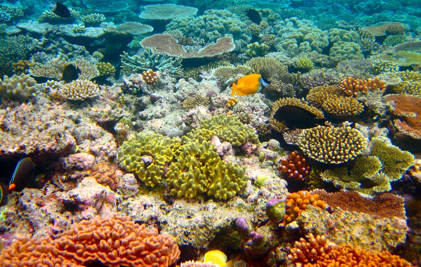 Marine heat waves threaten global biodiversity and the provision of ecosystem services