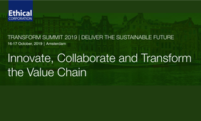 Businesses on their journey to sustainability: Notes from Transform 2019