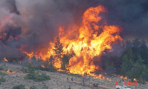 Experts call for different approach to wildfire management in Mediterranean-type regions