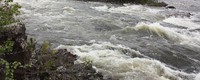 No climate change impact on river discharge in Sweden