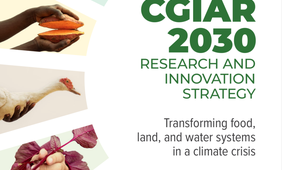 Investment into research must double to halt climate and food crises by 2030, warns CGIAR