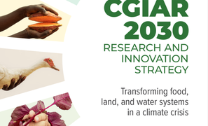 Investment into research must double to halt climate and food crises by 2030, warns CGIAR