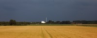 Drought and heatwave crop losses in Europe tripled over the last five decades