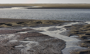 How will different rates of sea-level rise determine the future of the Wadden Sea?