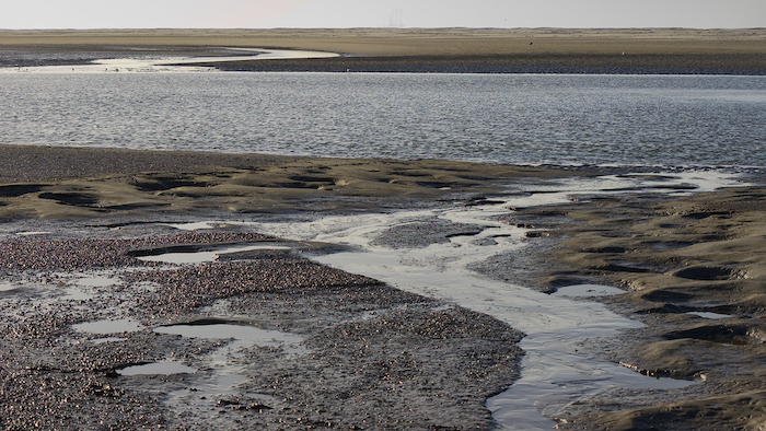 How will different rates of sea-level rise determine the future of the Wadden Sea?