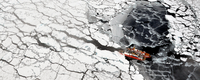 Loss of sea ice in the Arctic: Sad testimony of climate change, good news for the economy