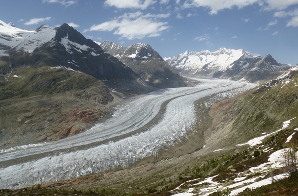 At least half of all glaciers will be gone by 2100