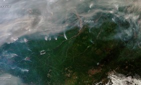 Unprecedented fire activity in the Arctic in recent years due to global warming