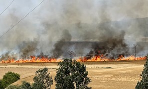 Economic damage of wildfires in Southern Europe is up to €21 billion per season, on average